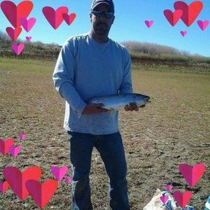 Meet your Posher, David lynn